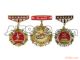 Meritorious Service Medals (Badges)